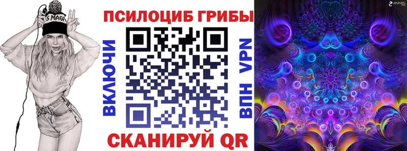 закладка  Курлово  Псилоцибиновые грибы Psilocybe 