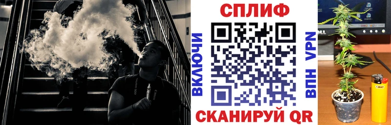 Каннабис SATIVA & INDICA  Курлово 